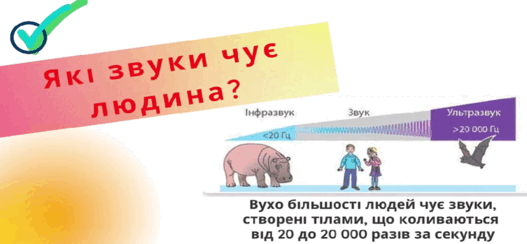 05003wtl-0aea-527x244.png