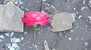 Вірш " Розірвана троянда"