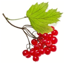 05003z2f-62d9-129x126.png