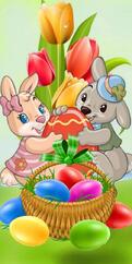 050040aq-0c88-121x242.jpg