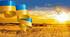 Презентація до Дня Незалежності України