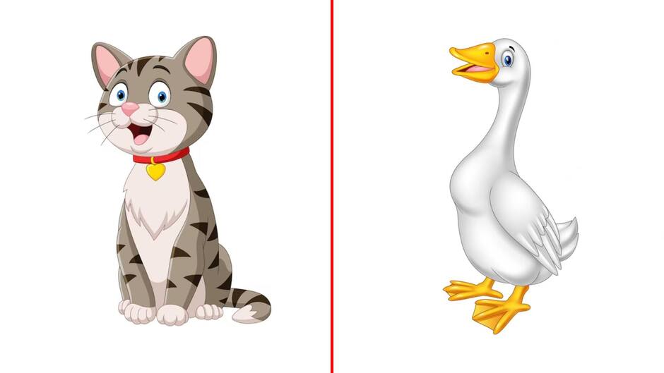 Можливо, це ілюстрація goose