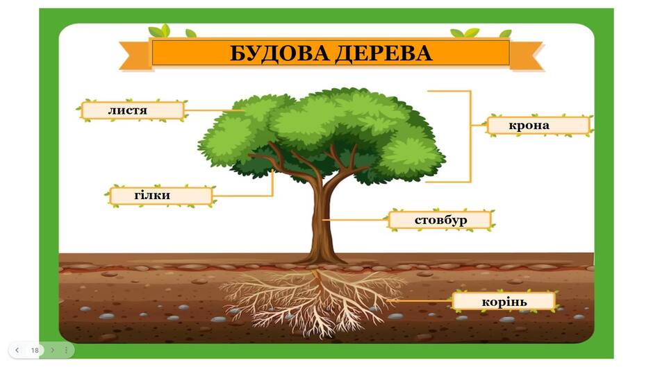 Можливо, це малюнок: дерево та текст