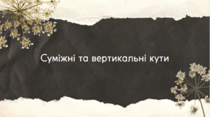 Суміжні та вертикальні кути презентація