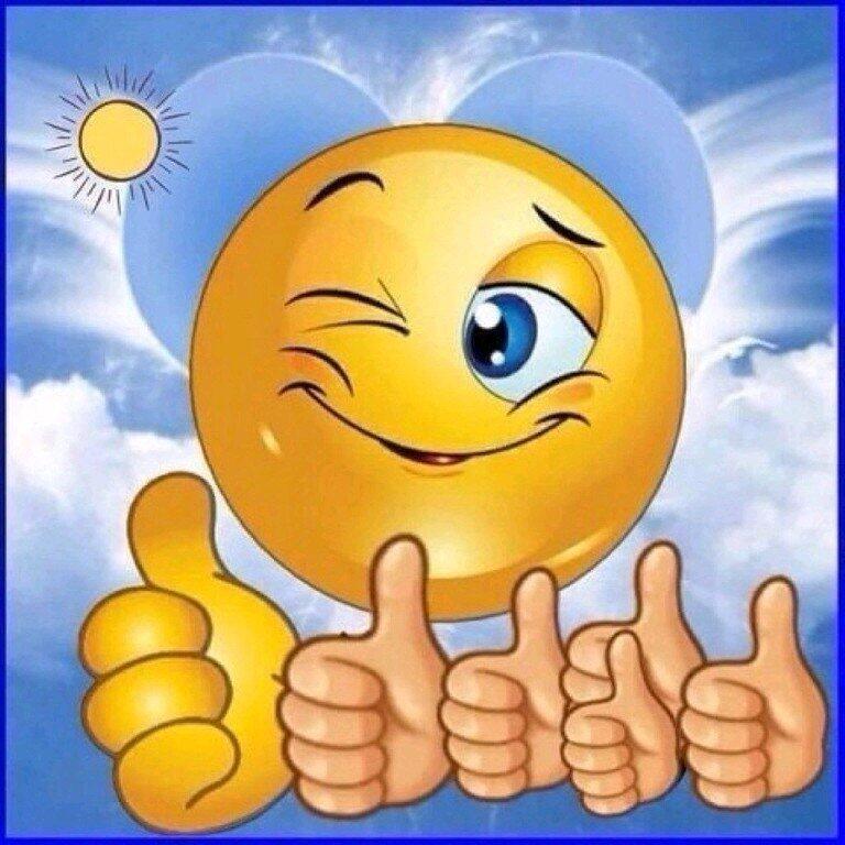 0500455n-c78f-768x768.jpg