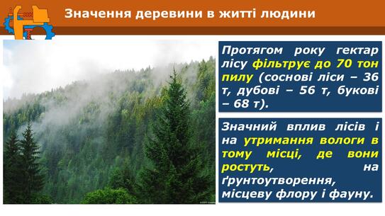 050047fh-91a8-543x305.jpg