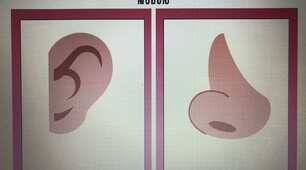 Картки на уроки англійської мови "Частини тіла".Flashcards "Parts of body".