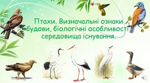 Презентація "Птахи. Визначальні ознаки будови, біологічні особливості, середовища існування"