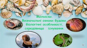Презентація "Молюски. Визначальні ознаки будови,  біологічні особливості,  середовища   існування"