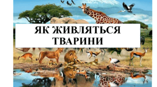 Презентація на тему "Як живляться тварини" 6 кл НУШ