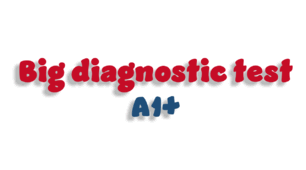 Big diagnostic test - A1+ 