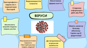 Ментальна карта "Віруси" ( 5 клас, НУШ, "Пізнаємо природу")