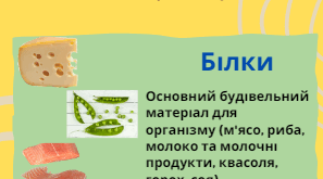 Інфографіка "Поживні речовини" ( 5 клас, НУШ, "Пізнаємо природу")