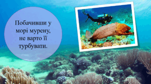 Презентація з читання: "Поринемо у морський світ. Незвичайна риба МУРЕНА".