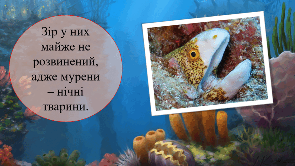 05004a18-ad42-940x530.png