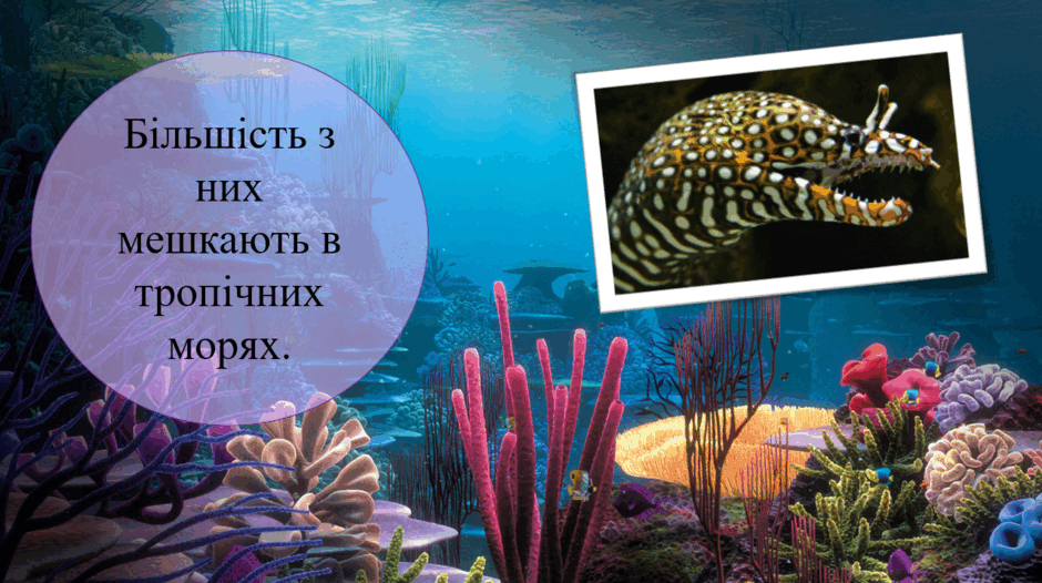 05004a19-bc93-940x526.png