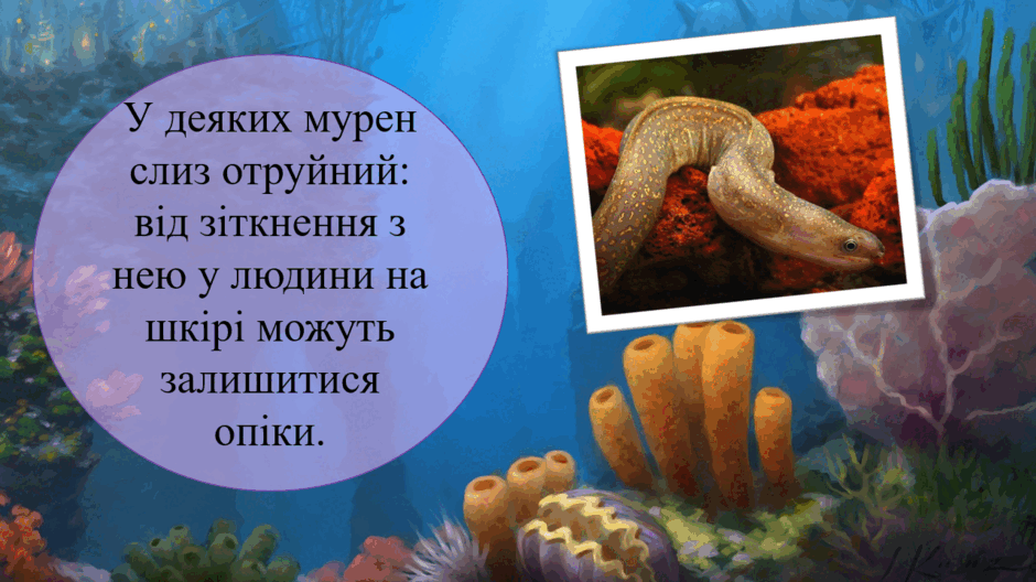 05004a1b-ef31-940x528.png