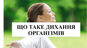 Презентація на тему "Що таке дихання організмів" 6 кл НУШ