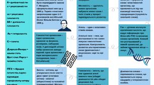 Основні поняття генетики. Методи генетичних досліджень