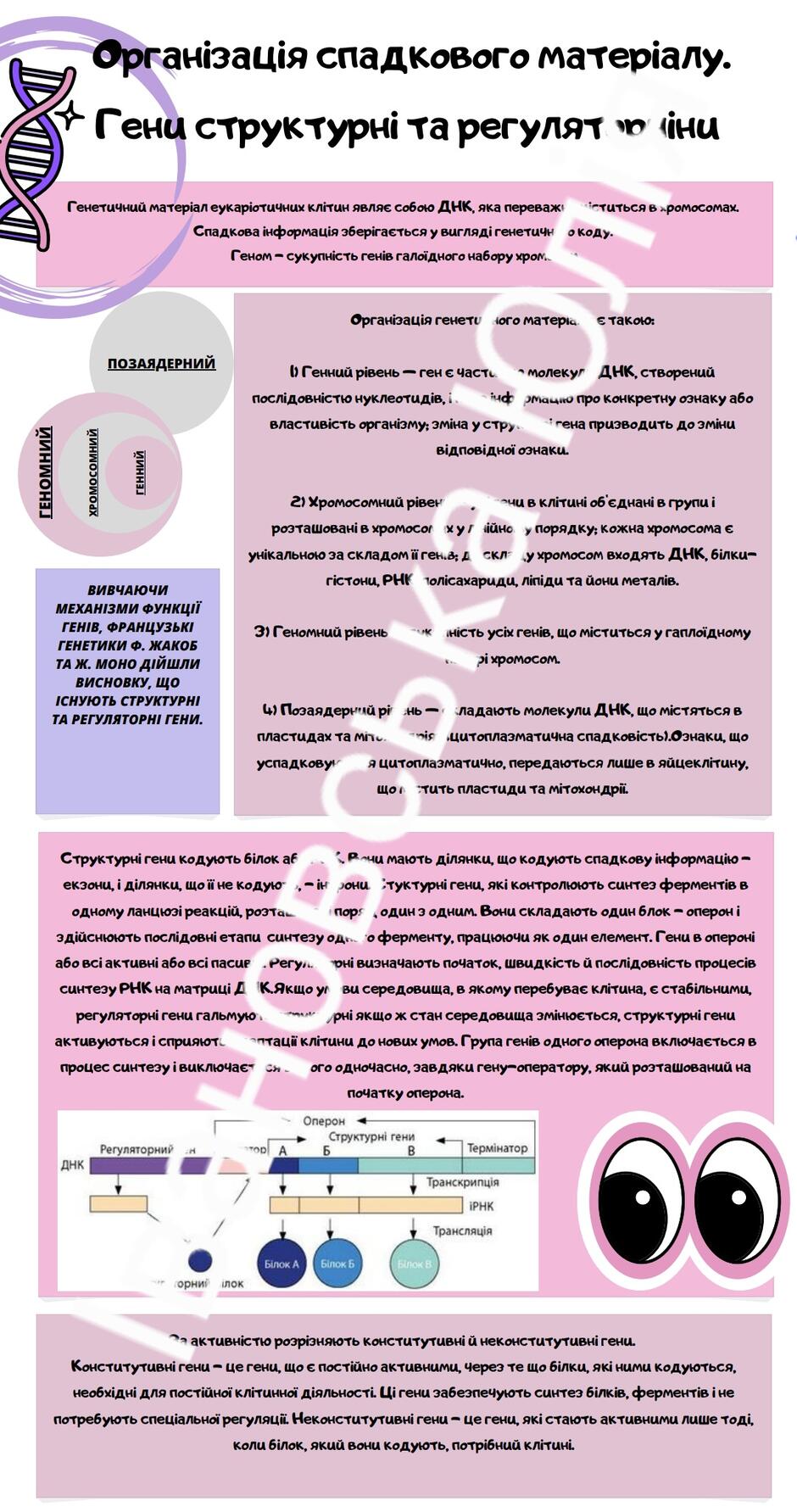 05004cic-13bd-940x1783.jpg
