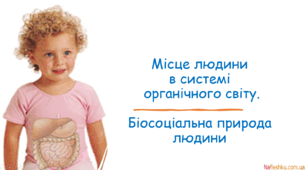 Місце людини в системі органічного світу