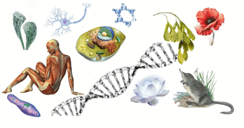 05004d6o-e73a-480x253.png