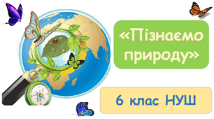 Презентація "Молекули, атоми" 6 клас НУШ