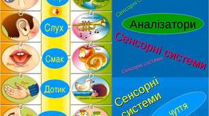 Сенсорні системи