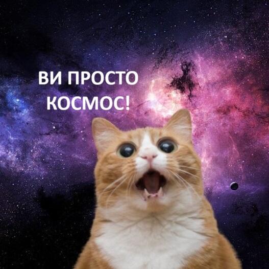 05004hlj-a50a-527x526.jpg
