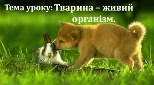 Урок 1/1. Тварина – живий організм.