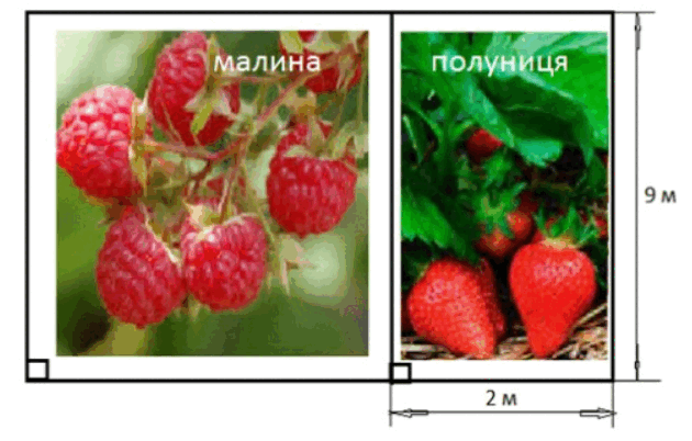 05004n67-8064-630x402.png