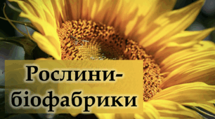 Рослини-біофабрики - Навчальний проєкт - 9-11 клас