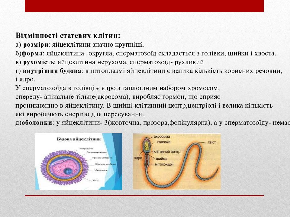 Компании модульных домов Анапы