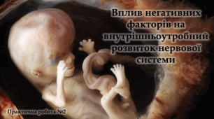 Вплив негативних факторів на внутрішньоутробний розвиток нервової системи - Навчальний проєкт - 8-11 клас
