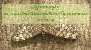 Адаптація як загальна властивість біологічних систем