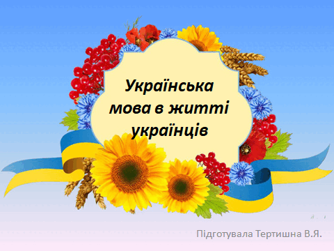 05004x56-3475-480x360.png