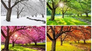 Seasons/Days/Months