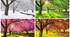 Seasons/Days/Months