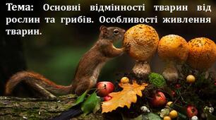 Урок 2/2. Основні відмінності тварин від рослин та грибів. Особливості живлення тварин.