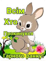 050054pf-c9b8-194x257.jpg