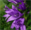050057d2-586f-105x103.png
