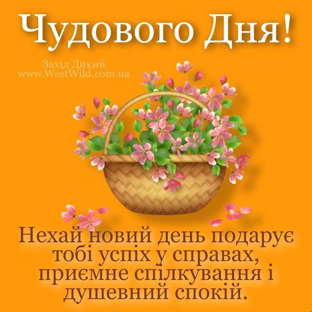 Гарного дня. Привітання та побажання в картинках - West Wild | Захід Дикий | Planter pots, Planters