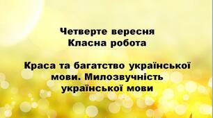 НУШ. Презентація - конспект уроку в 6 класі "Краса та багатство української мови. Милозвучність української мови"