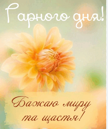 05005gk3-49d1-361x433.png