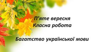 НУШ. Презентація - конспект уроку з теми "Багатство української мови"