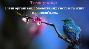 Урок 2/2. Рівні організації біологічних систем та їхній взаємозв’язок.