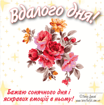05005hzs-68cd-337x339.png