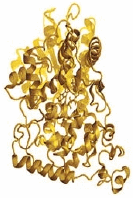 05005ib0-72b2-133x198.png