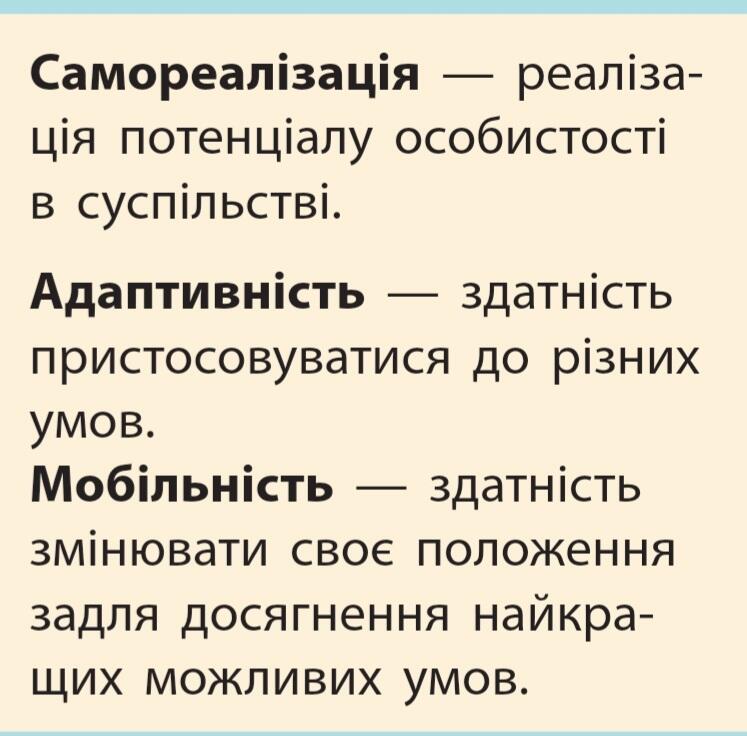 05005mt0-4d70-747x736.jpg
