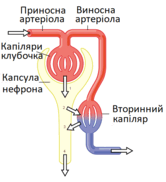 05005njb-85d9-166x182.png